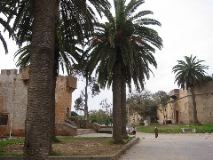 Tunisie:   musee de La Skhirra